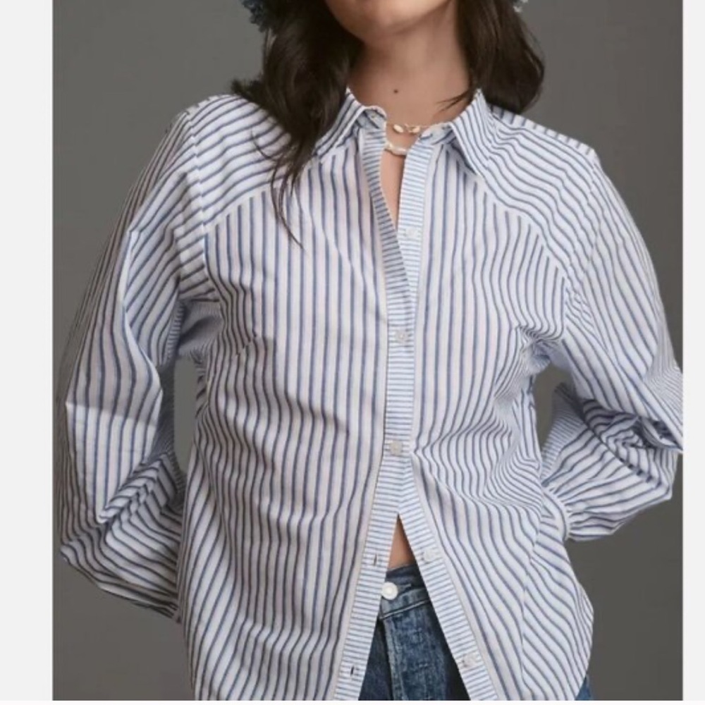 Anthropologie Blue and White Striped Button-Down Shirt